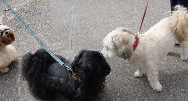 rencontre bis