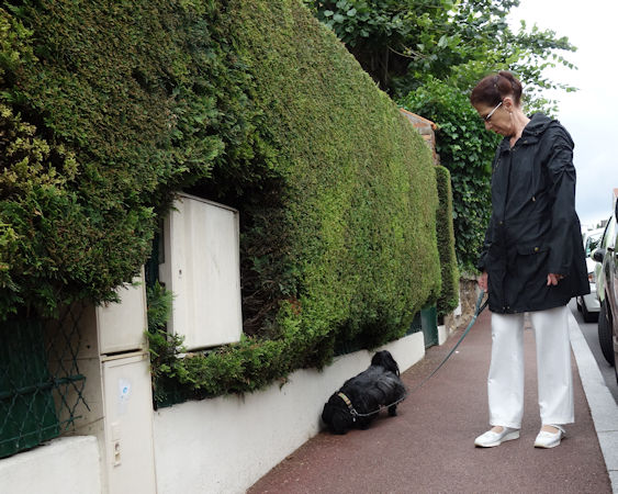 promenade dans VIROFLAY