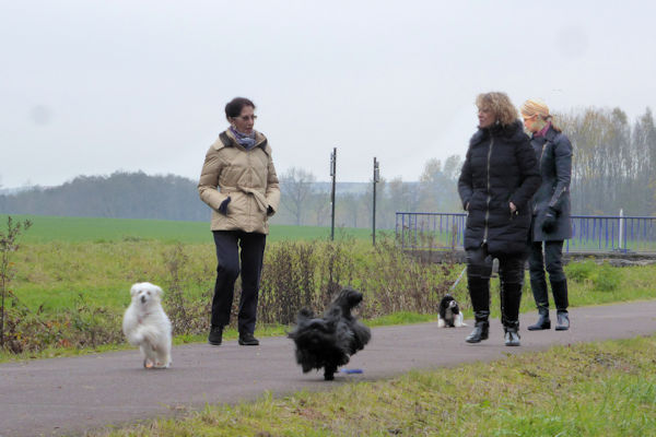 promenade