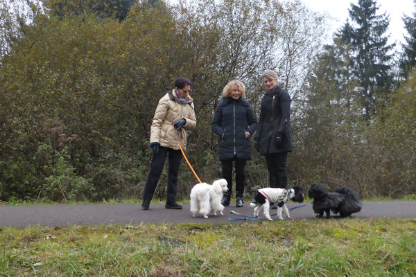 promenade à Nitting