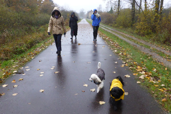 sous la pluie
