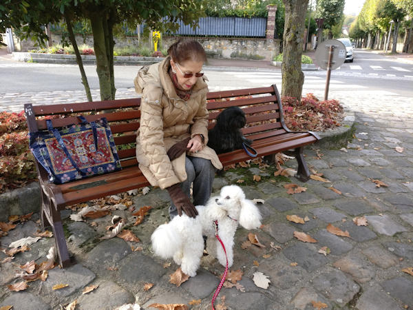 sur le banc