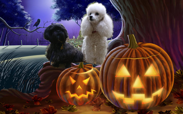 Halloween