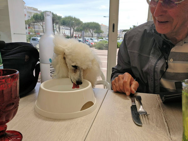 à boire