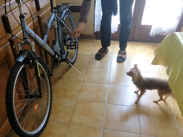 ombline devant un vélo