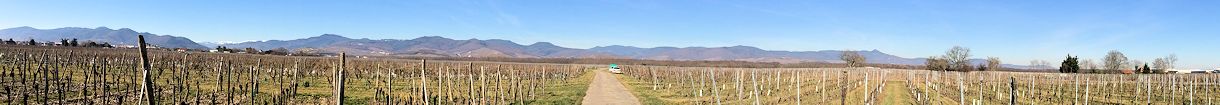 les vosges