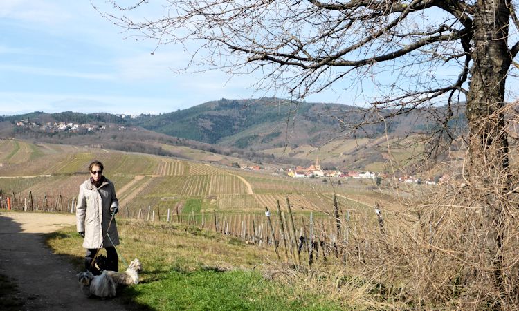 vue sur niedermorshwhir