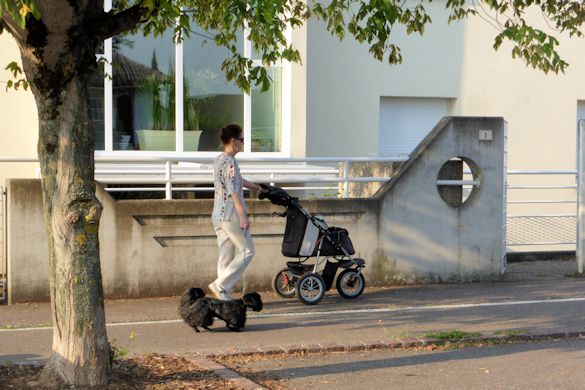 promenade