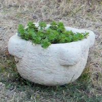 pot de fleurs