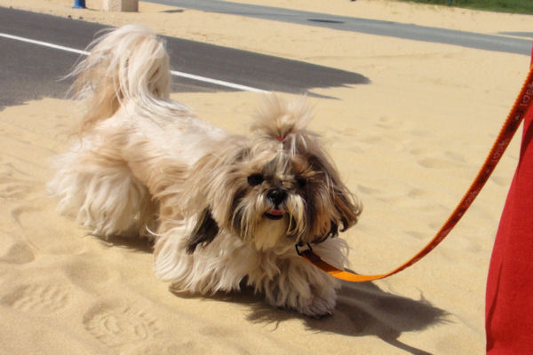 sur le sable