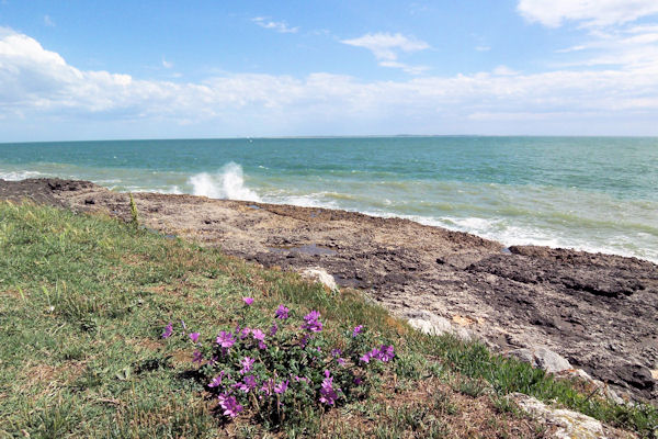 Vue du sable
